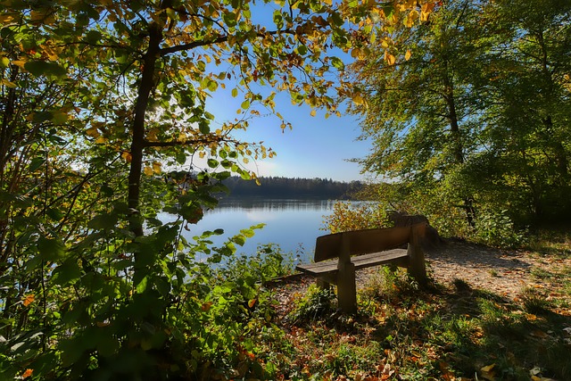 新的外援 新的外援