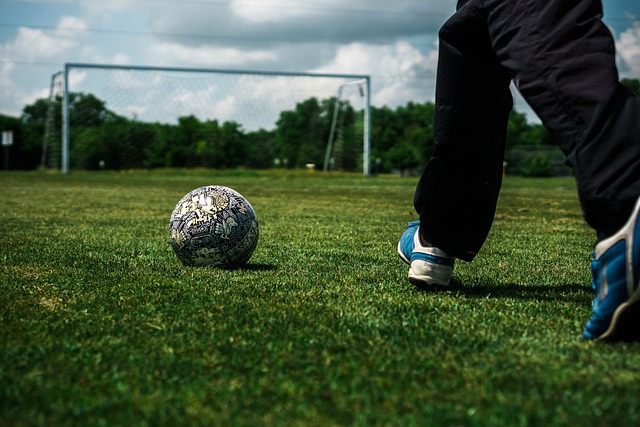 使用数据分 使用数据分