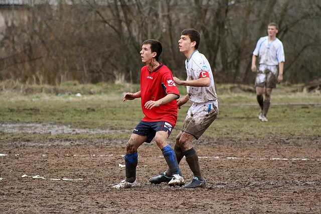 中可能会为 中可能会为