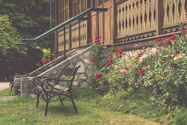 球智慧的分 球智慧的分