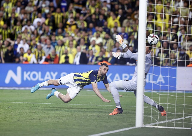 豪哥不僅需 豪哥不僅需