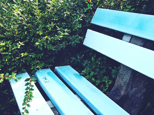 了一名顶级 了一名顶级