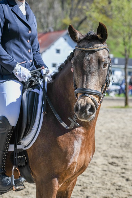 完成了比赛 完成了比赛